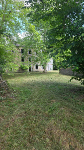 Photo de galerie - Débrousaillage