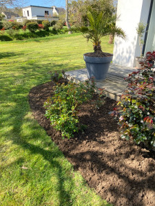Photo de galerie - J’ai enlevé les mauvaises herbes, puis sarclé, puis bêché pour bien délimiter le parterre pour ensuite passer le râteau 