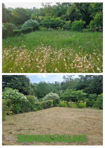 Photo de galerie - Tonte de pelouse - Débroussaillage