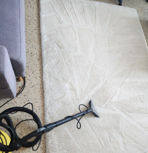 Photo de galerie - Nettoyage tapis.