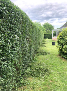 Photo de galerie - Entretien au quotidien