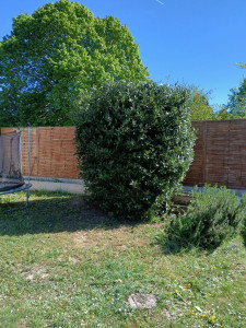 Photo de galerie - ??