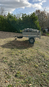 Photo de galerie - Jardinage et évacuation des déchets verts 