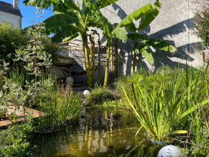 Photo de galerie - Paysagiste - Aménagement du jardin