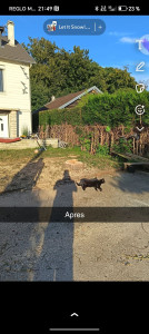 Photo de galerie - Abatage