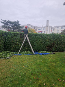 Photo de galerie - Paysagiste - Aménagement du jardin