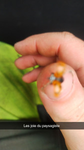 Photo de galerie - La joie de la nature 