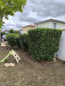 Photo de galerie - Après 