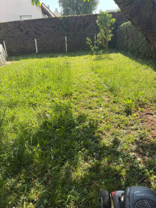 Photo de galerie - Jardinier