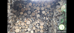 Photo de galerie - Elagage et coupe d'arbres