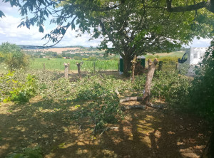 Photo de galerie - Chantier abattage 