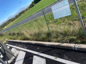 Photo de galerie - Tonte de pelouse - Débroussaillage