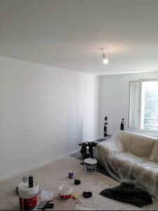 Photo de galerie - Peinture mur & plafond 