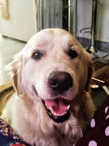 Photo de galerie - T