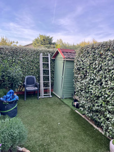 Photo de galerie - Taille de haies et d'arbustes