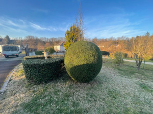 Photo de galerie - Taille d'arbustes