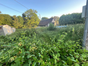 Photo de galerie - Tonte de pelouse - Débroussaillage