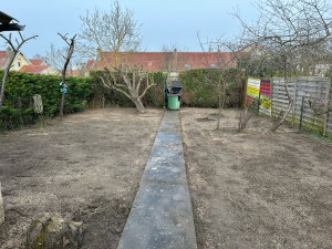 Photo de galerie - Passage motoculteur + rouleau + gazon semé 