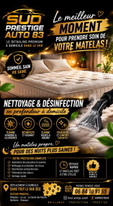 Photo de galerie - Nettoyage mobilier 