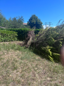 Photo de galerie - J’ai procéder au débitage d’un cyprès tomber durant une tempête, avec rognage de la souche