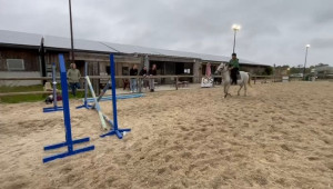 Photo de galerie - Danse, équitation, running