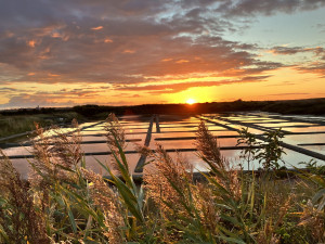 Photo de galerie - À cœur vaillant rien d'impossible 