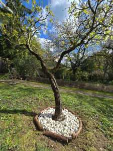 Photo de galerie - Paysagiste - Aménagement du jardin
