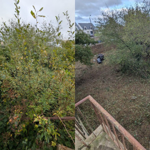 Photo de galerie - Débroussaillage 