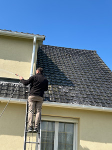 Photo de galerie - Mise en place d’un traitement anti lichen et hydrofuge le produit est (d’Alep)