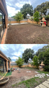 Photo de galerie - Semer du gazon