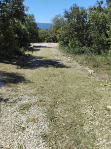 Photo de galerie - Debrouissaillages ect...