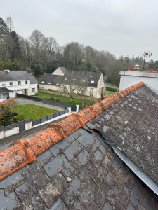Photo de galerie - Couverture - Toiture