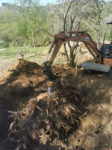 Photo de galerie - Dessouchage 