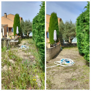 Photo de galerie - Débroussaillage