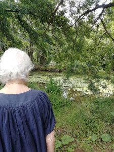 Photo de galerie - Ballade accompagnement personne âgée 