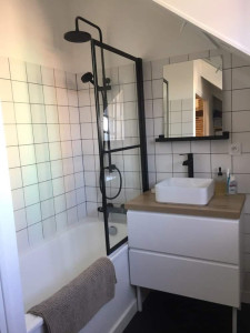 Photo de galerie - Installation d’une colonne de douche, d’un meuble de salle de bain, de la robinetterie et d’un miroir.