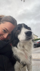 Photo de galerie - Réglisse garde régulière 