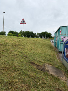 Photo de galerie - Débroussaillage complet pour le talus ?