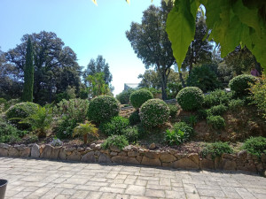 Photo de galerie - Taille et tonte 