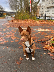 Photo de galerie - Talya❤️