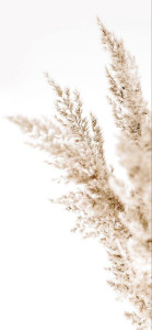 Photo de galerie - N’hésitez pas à me contacter pour toute entretien du linge, je possède tout le nécessaire. Vous n’aurez juste à me déposer votre linge.