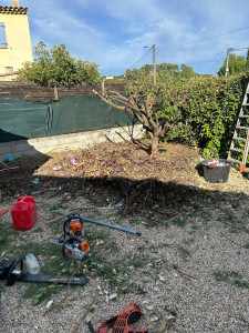 Photo de galerie - Jardinage