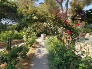 Photo de galerie - Potager paysager