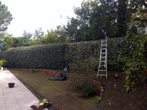 Photo de galerie - Jardinier