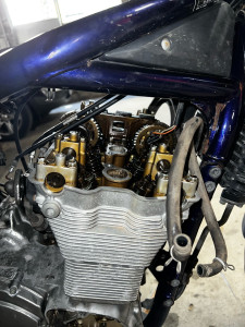 Photo de galerie - .