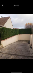 Photo de galerie - Taille 