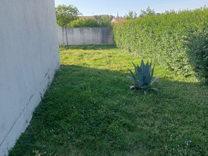 Photo de galerie - Jardinier