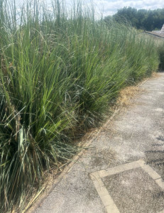 Photo de galerie - Avant 