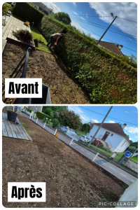 Photo de galerie - Bonjour abattage et déssouchage d’une haie de tuya de 15 mètre réalisé par l’entreprise MR Diehl