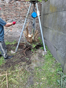 Photo de galerie - Paysagiste - Aménagement du jardin